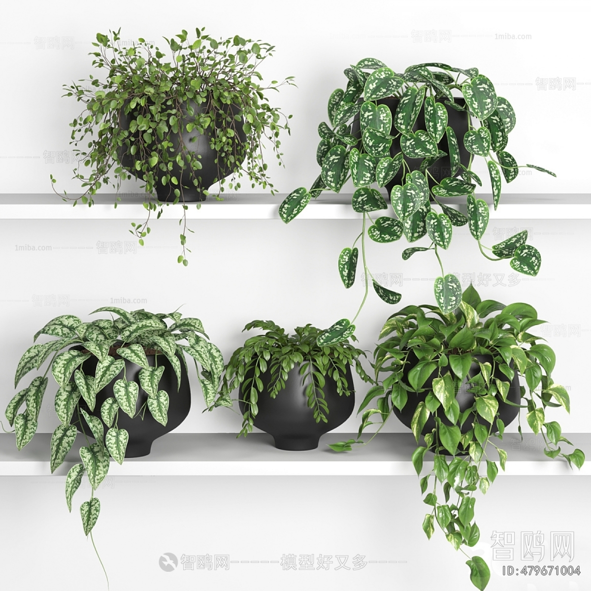 Modern Desktop Plant