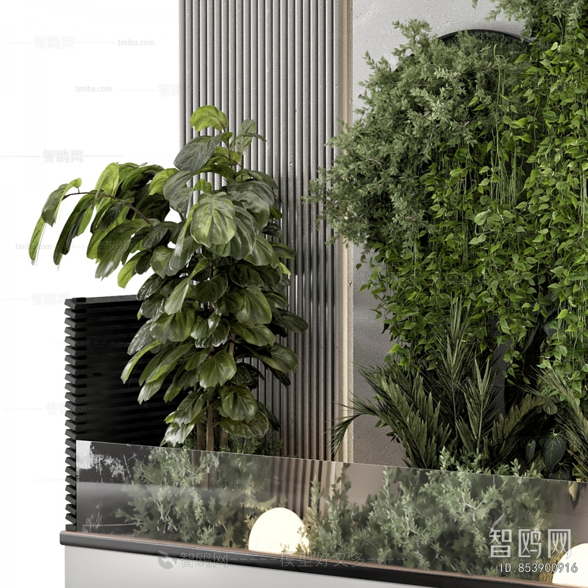 Modern Plant Landscaping