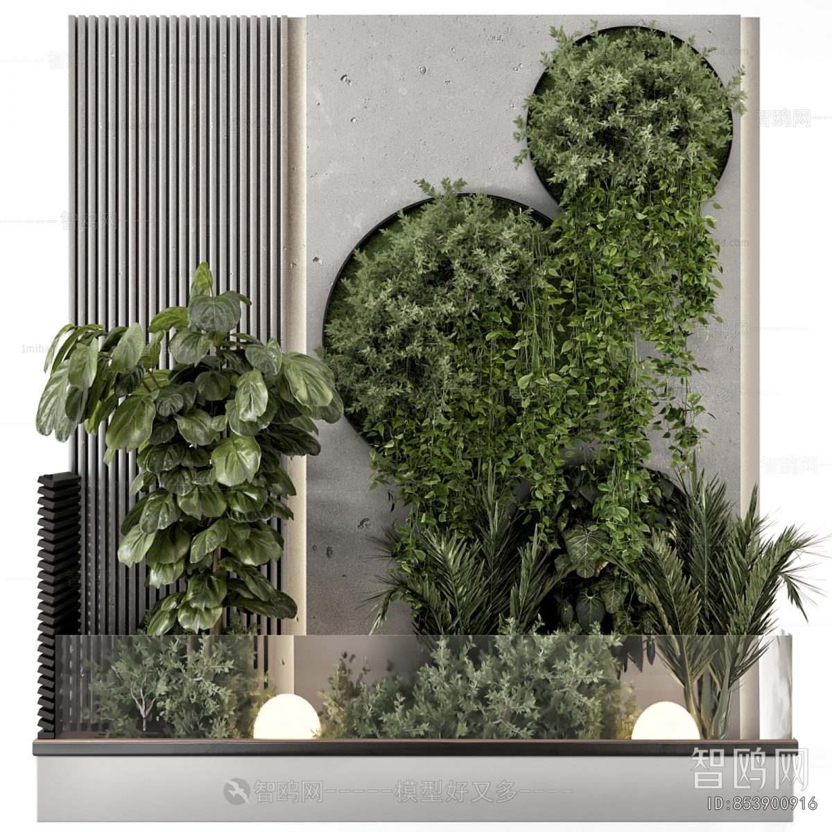 Modern Plant Landscaping