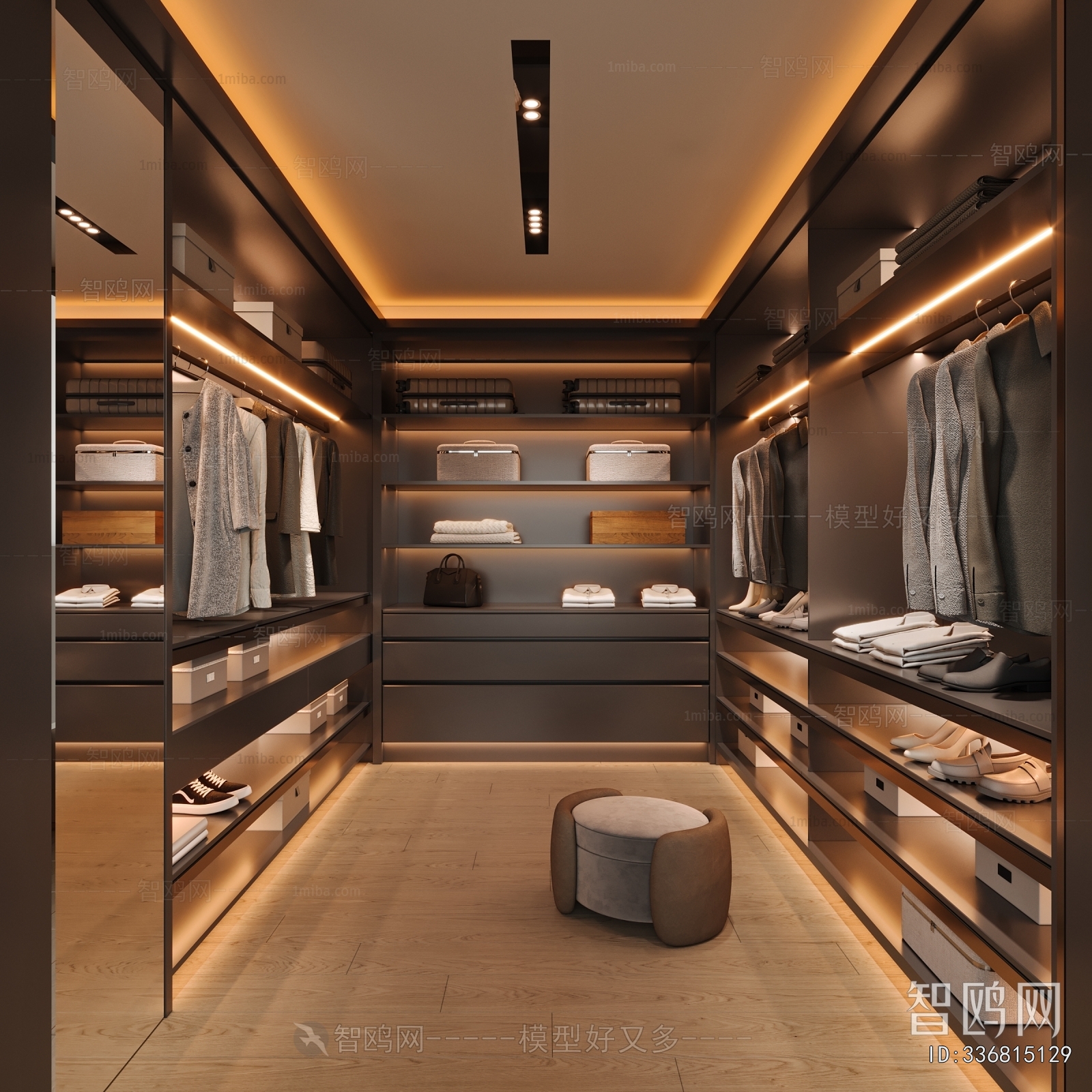 Modern Clothes Storage Area