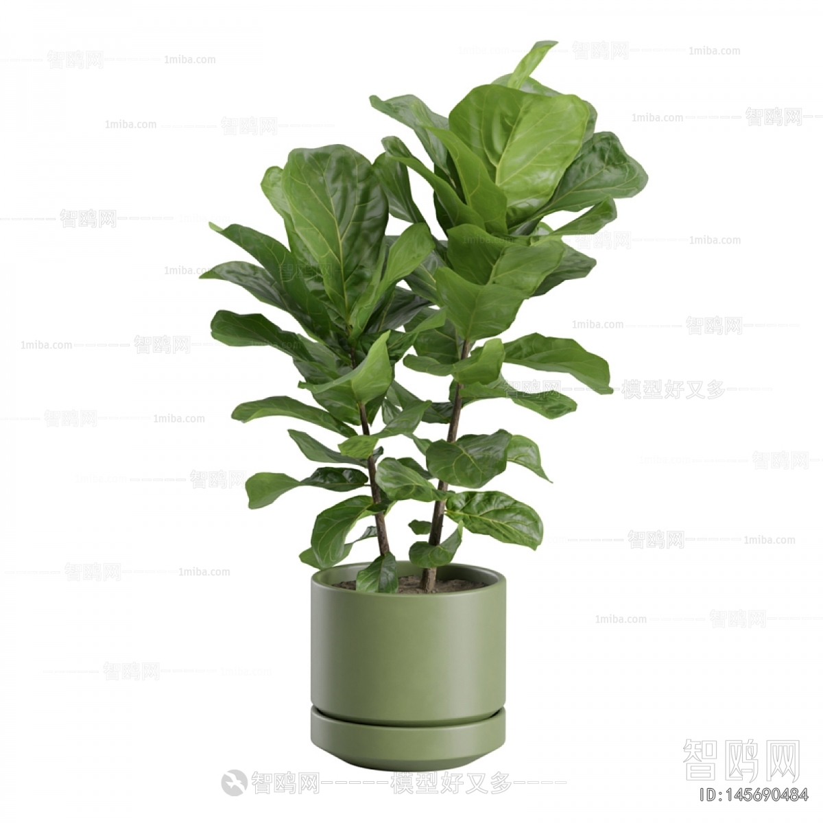 Modern Ground Green Plant Potted Plants