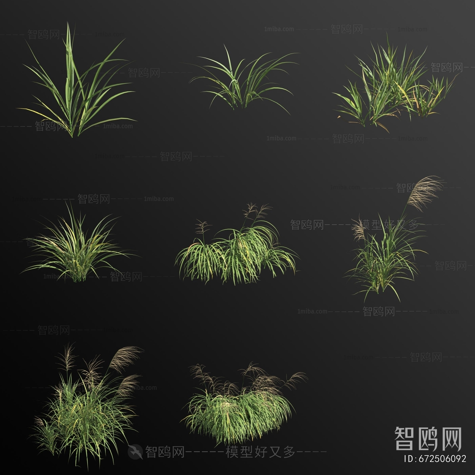 Modern The Grass