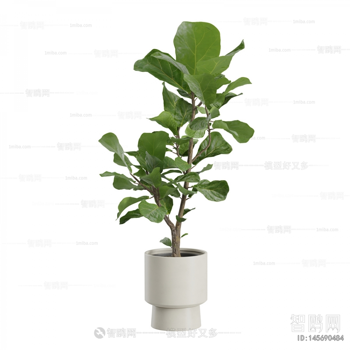 Modern Ground Green Plant Potted Plants