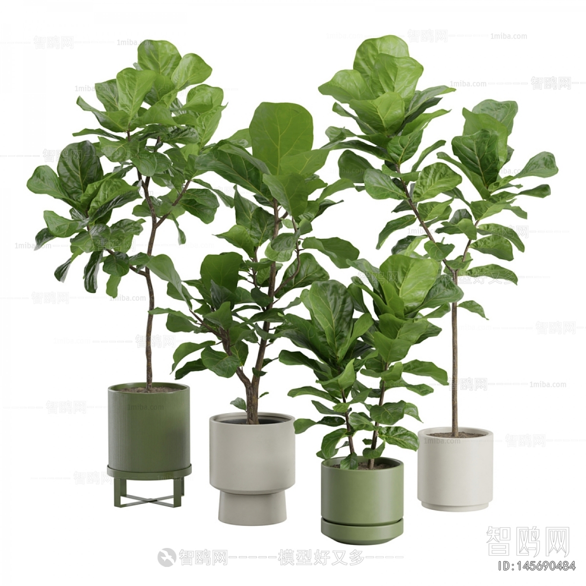 Modern Ground Green Plant Potted Plants