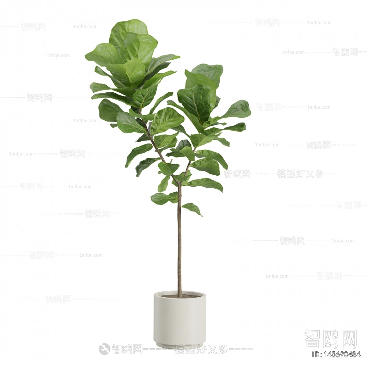 Modern Ground Green Plant Potted Plants