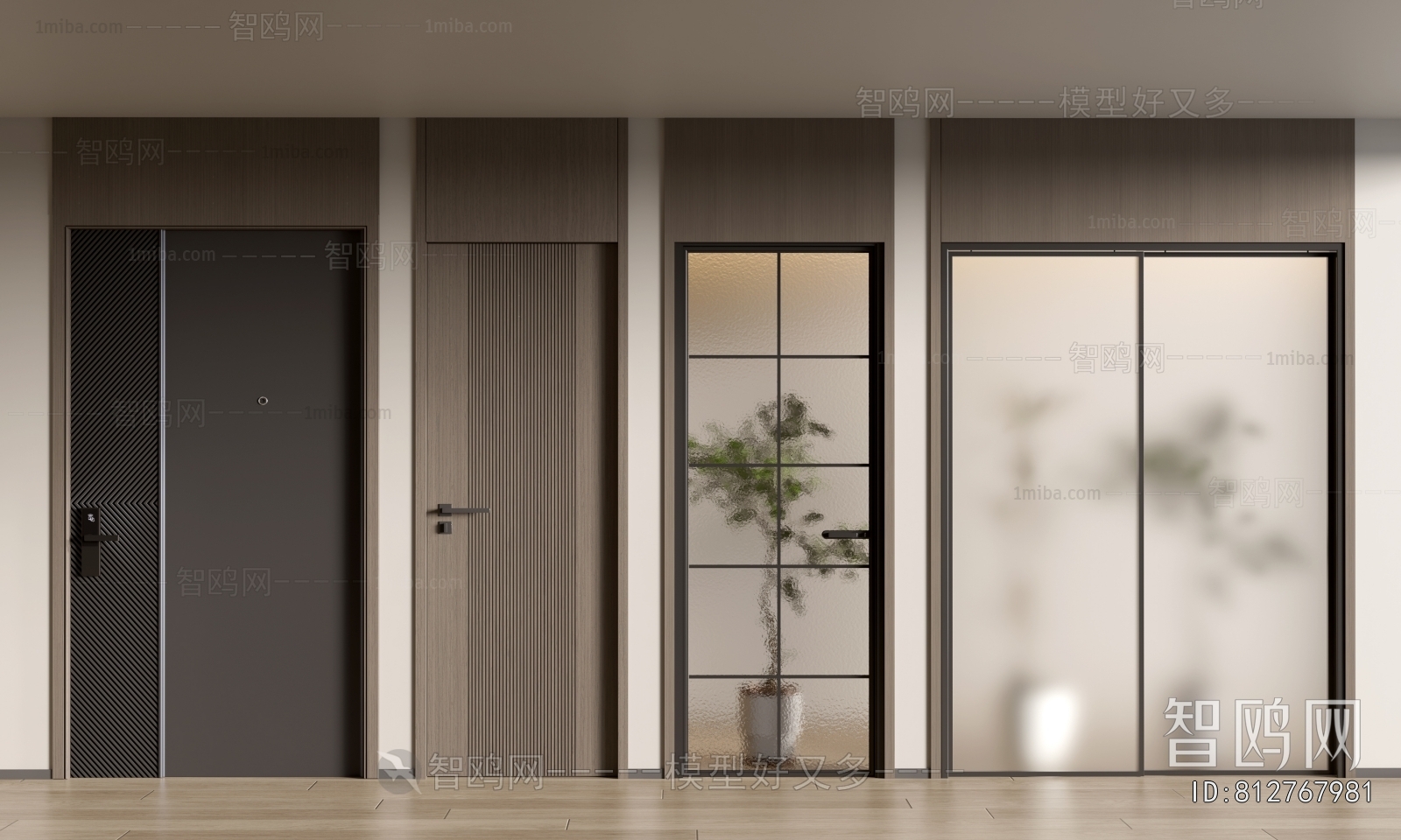 Modern Door