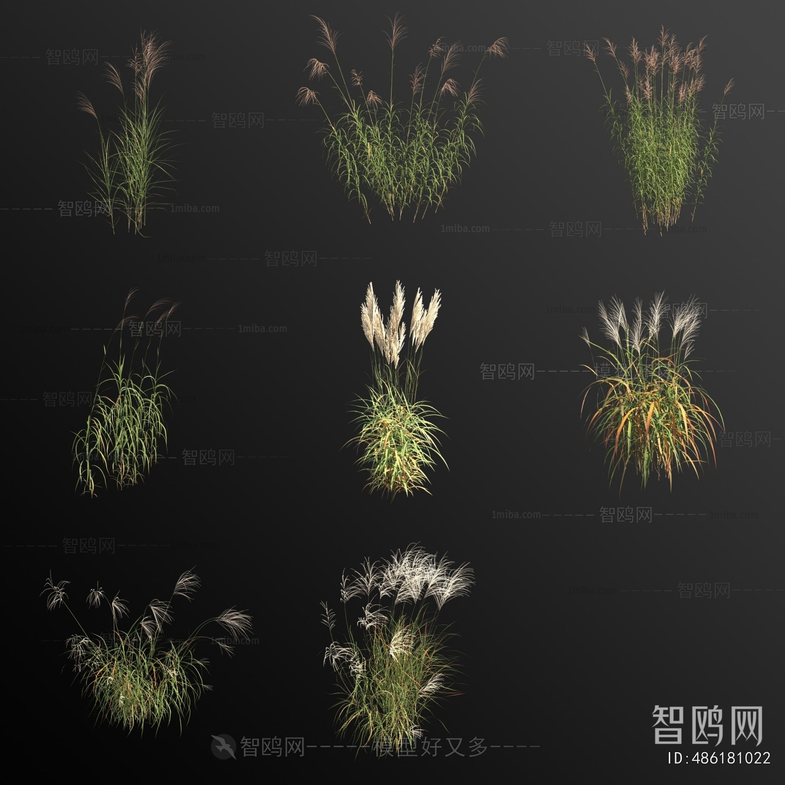 Modern Flowers And Grass