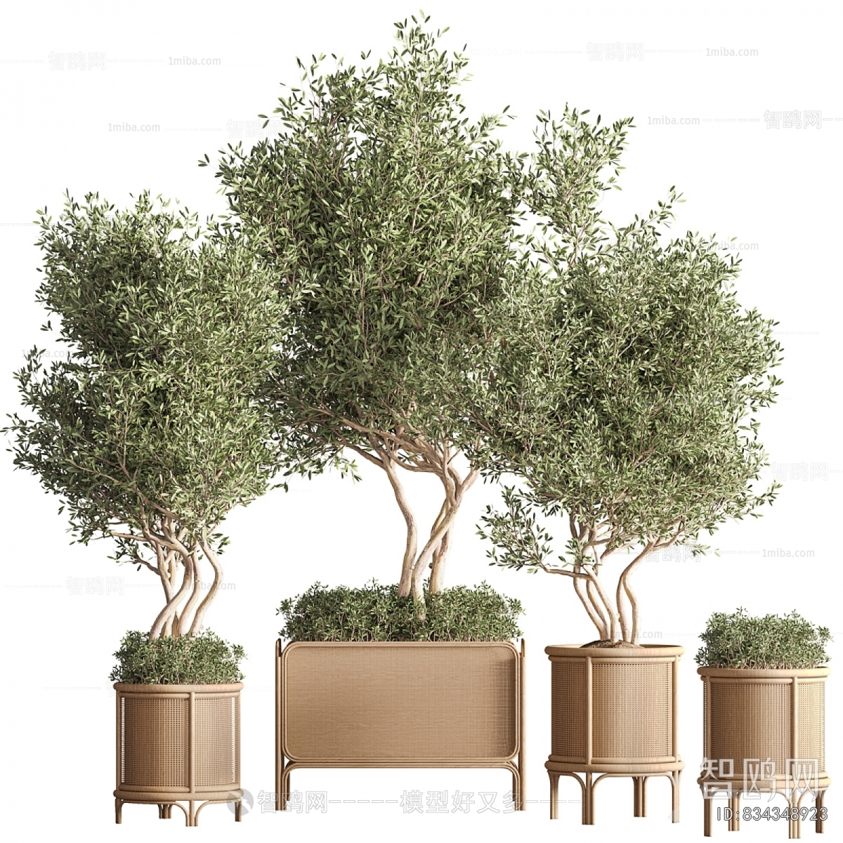 Modern Ground Green Plant Potted Plants