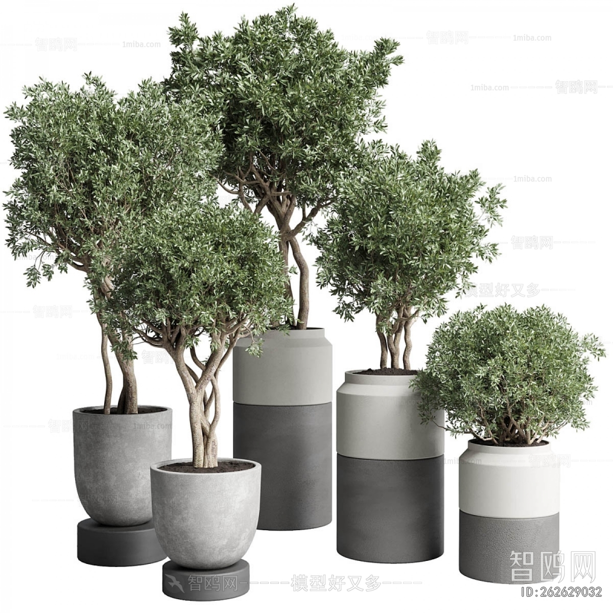 Modern Ground Green Plant Potted Plants