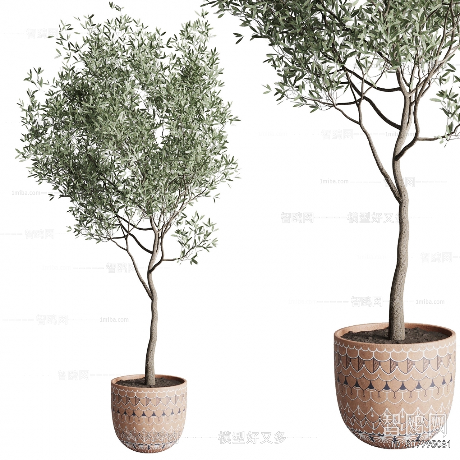 Modern Ground Green Plant Potted Plants