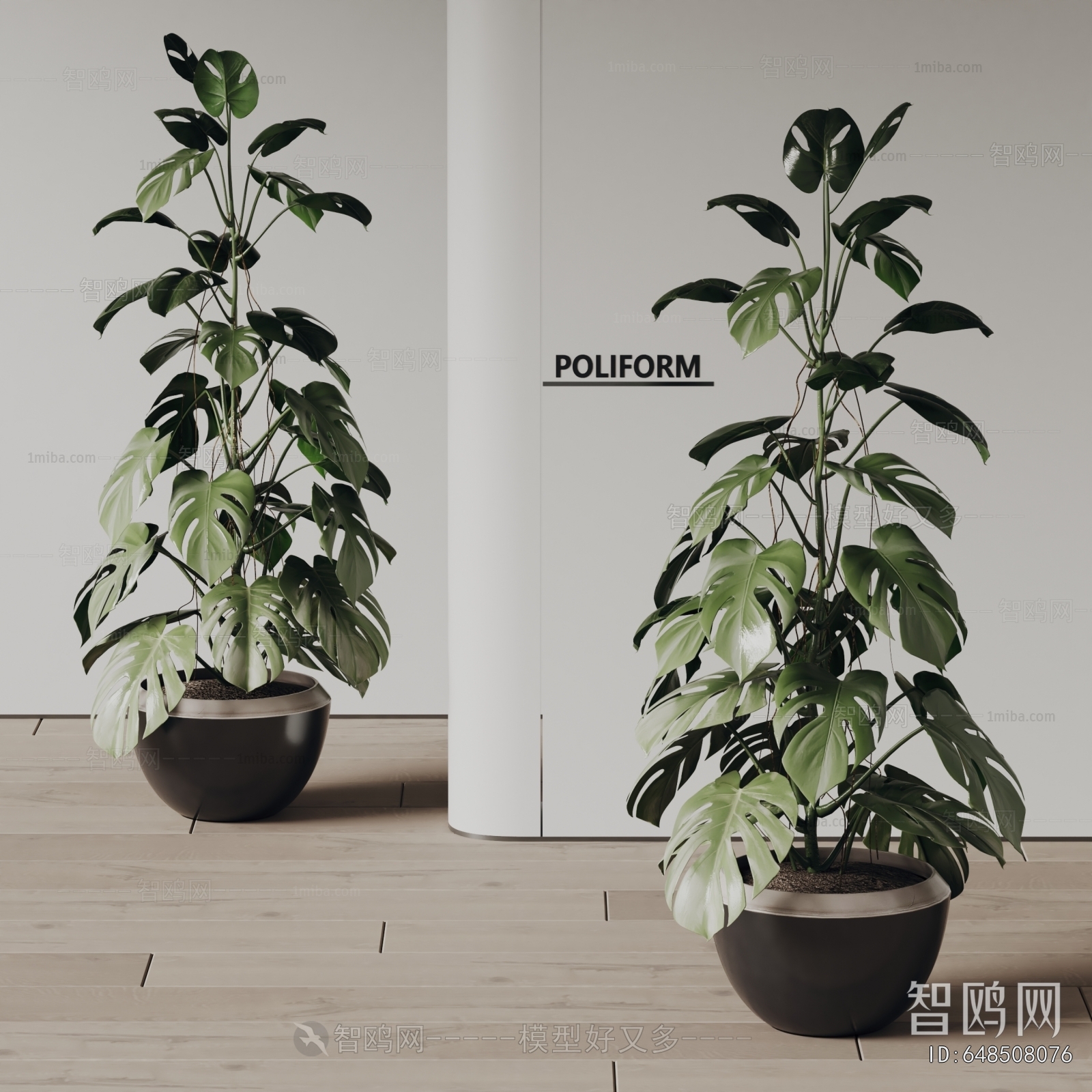 Modern Ground Green Plant Potted Plants