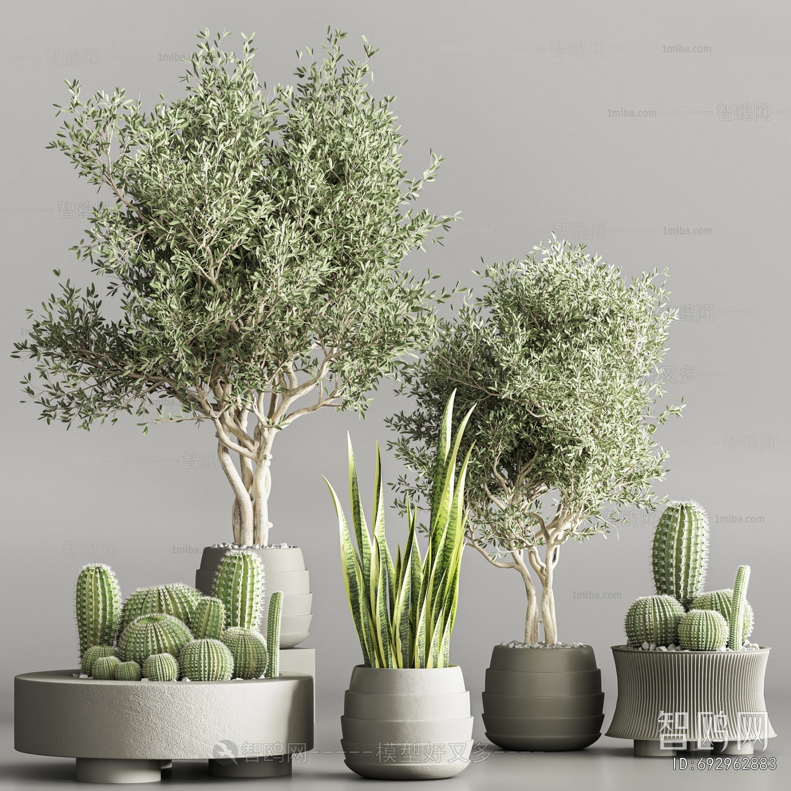 Modern Ground Green Plant Potted Plants