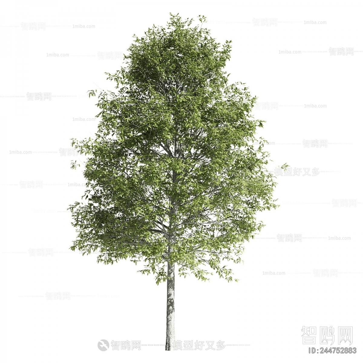 Modern Tree