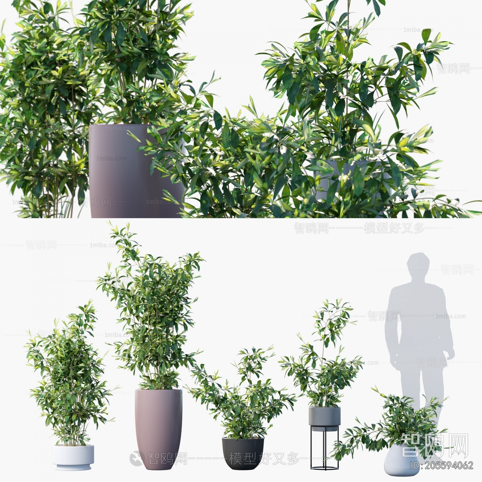 Modern Potted Green Plant