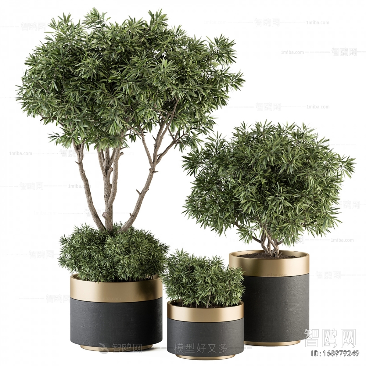 Modern Ground Green Plant Potted Plants