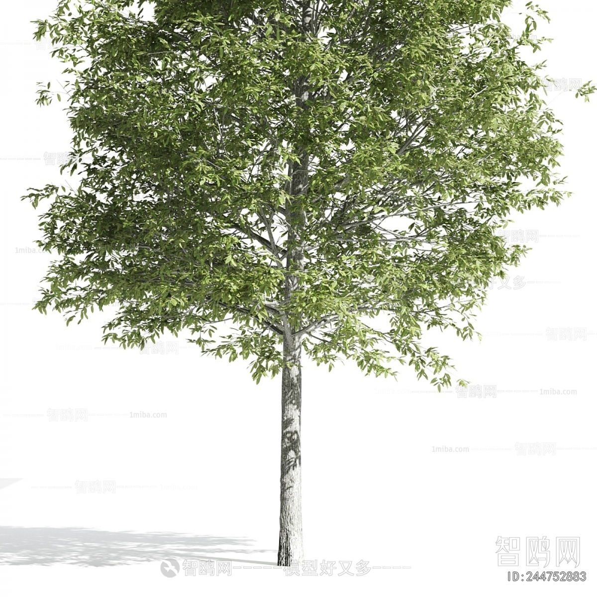 Modern Tree