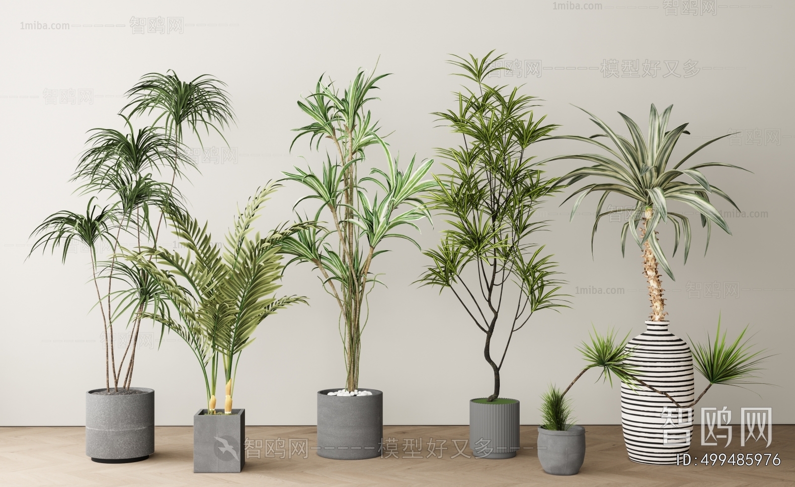 Modern Ground Green Plant Potted Plants