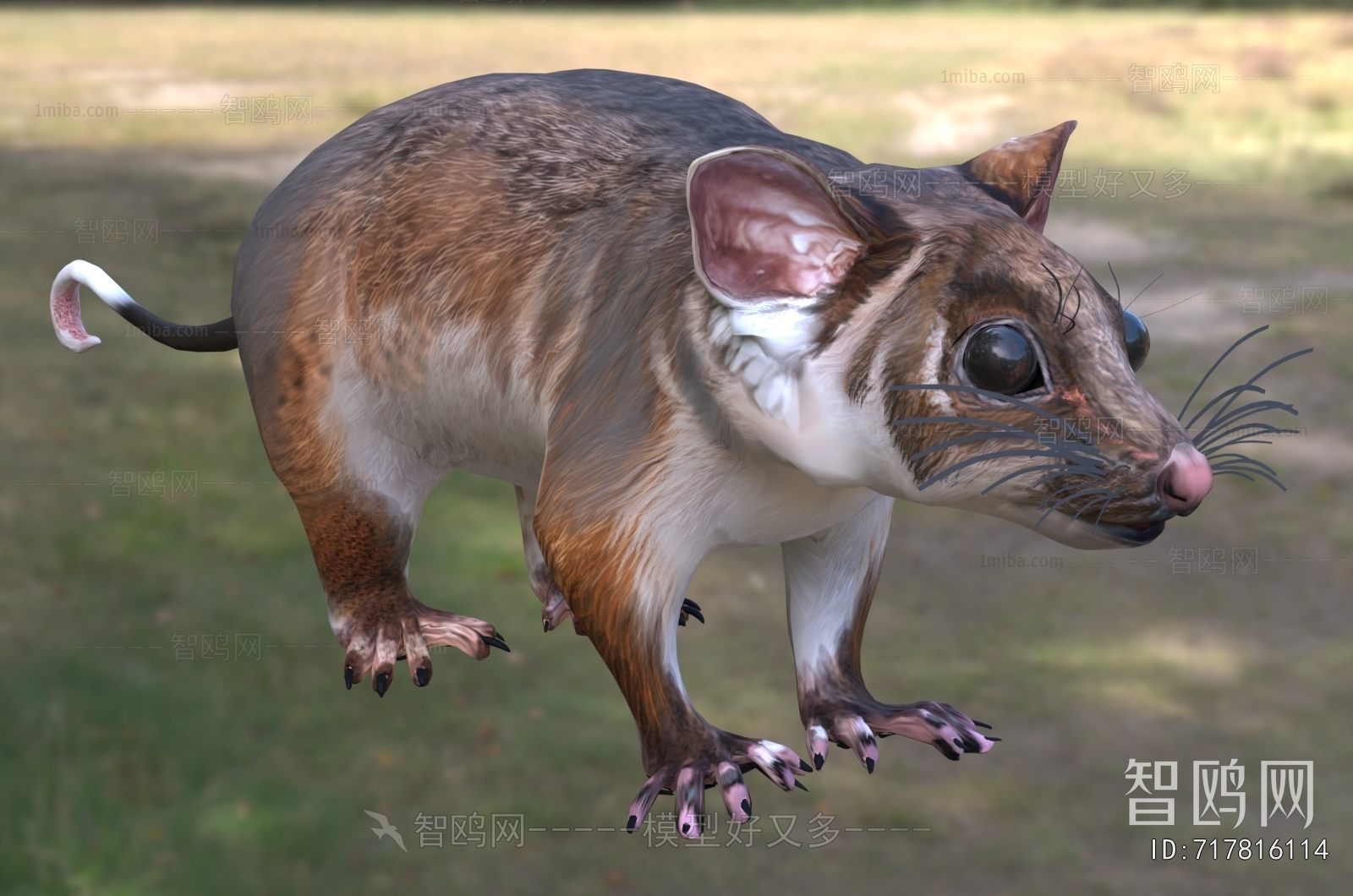 Modern Mammal