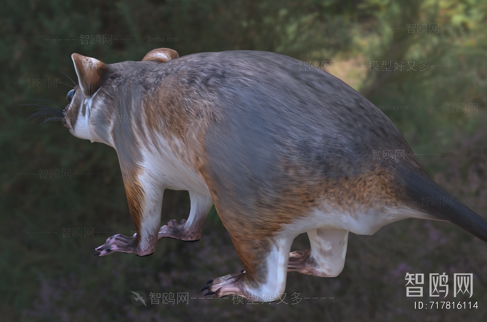 Modern Mammal