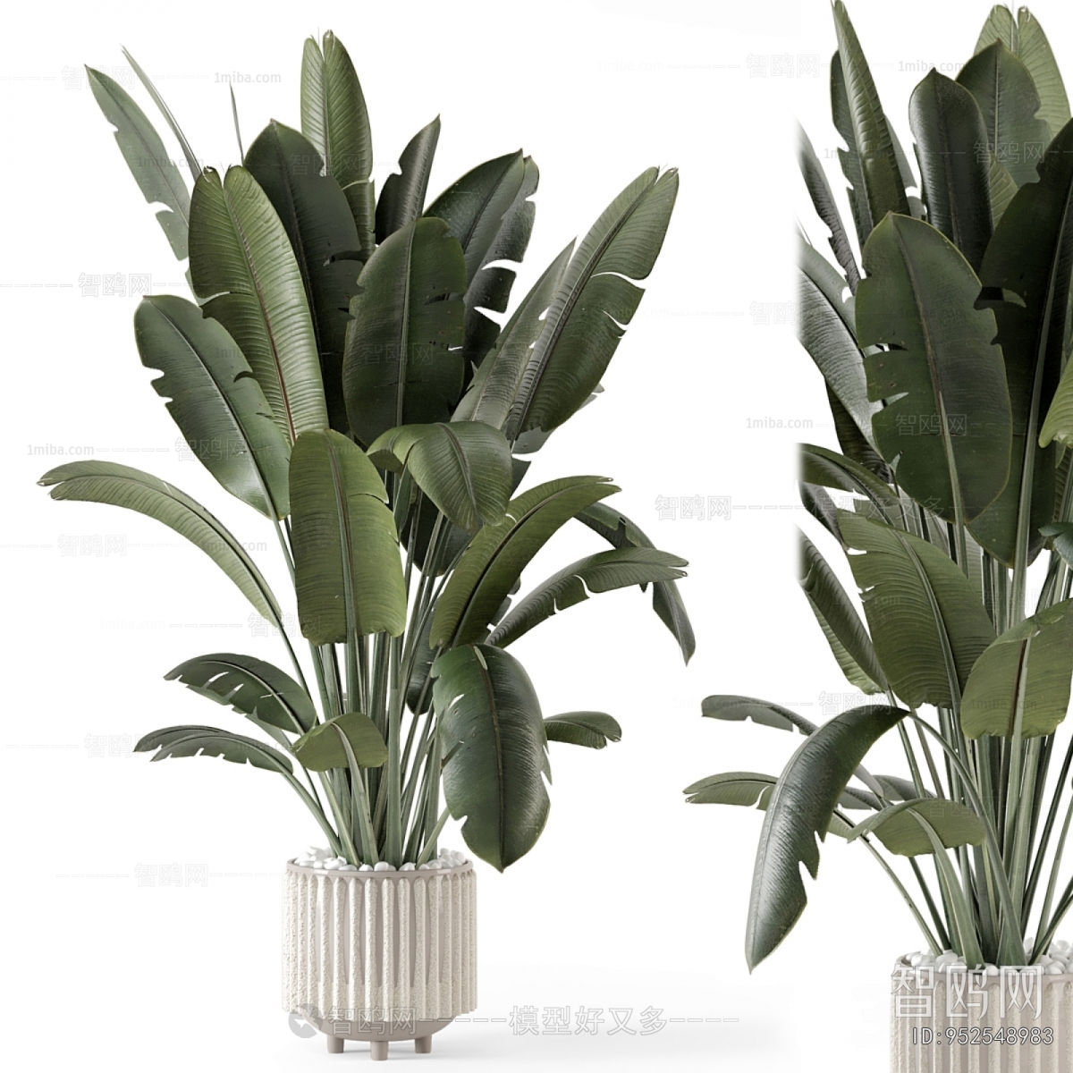 Modern Ground Green Plant Potted Plants