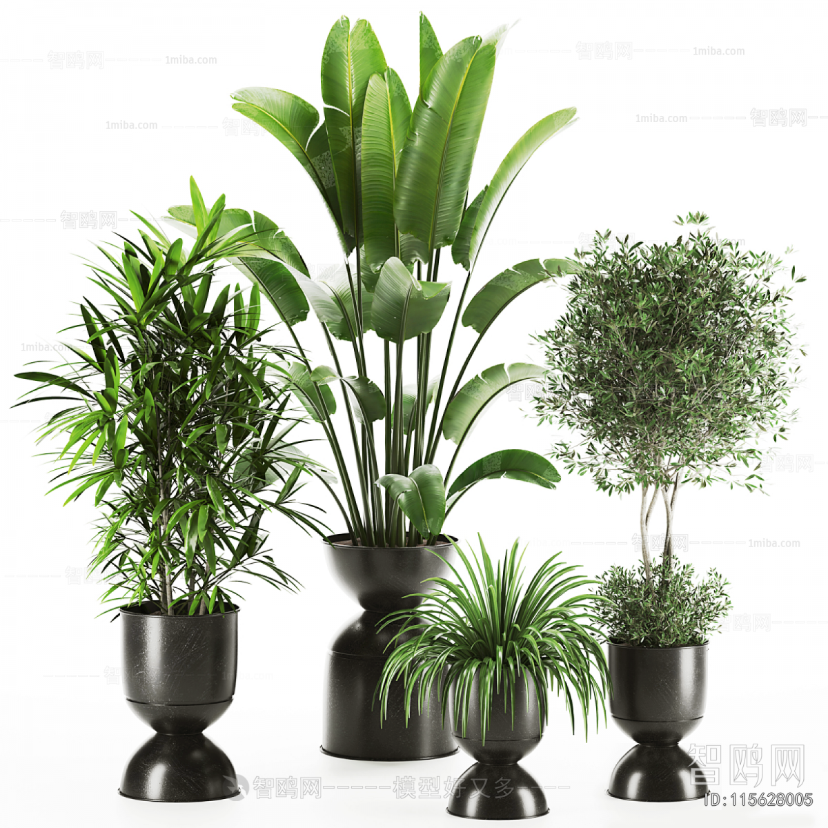 Modern Ground Green Plant Potted Plants