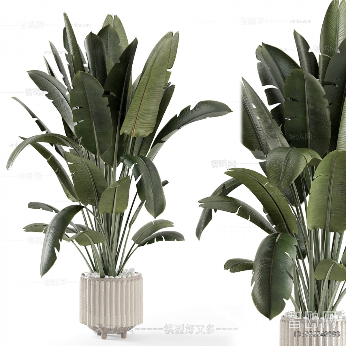 Modern Ground Green Plant Potted Plants