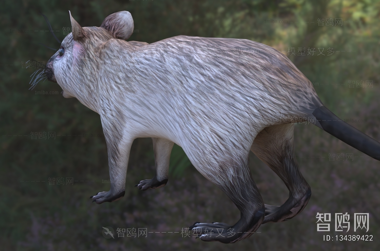 Modern Mammal