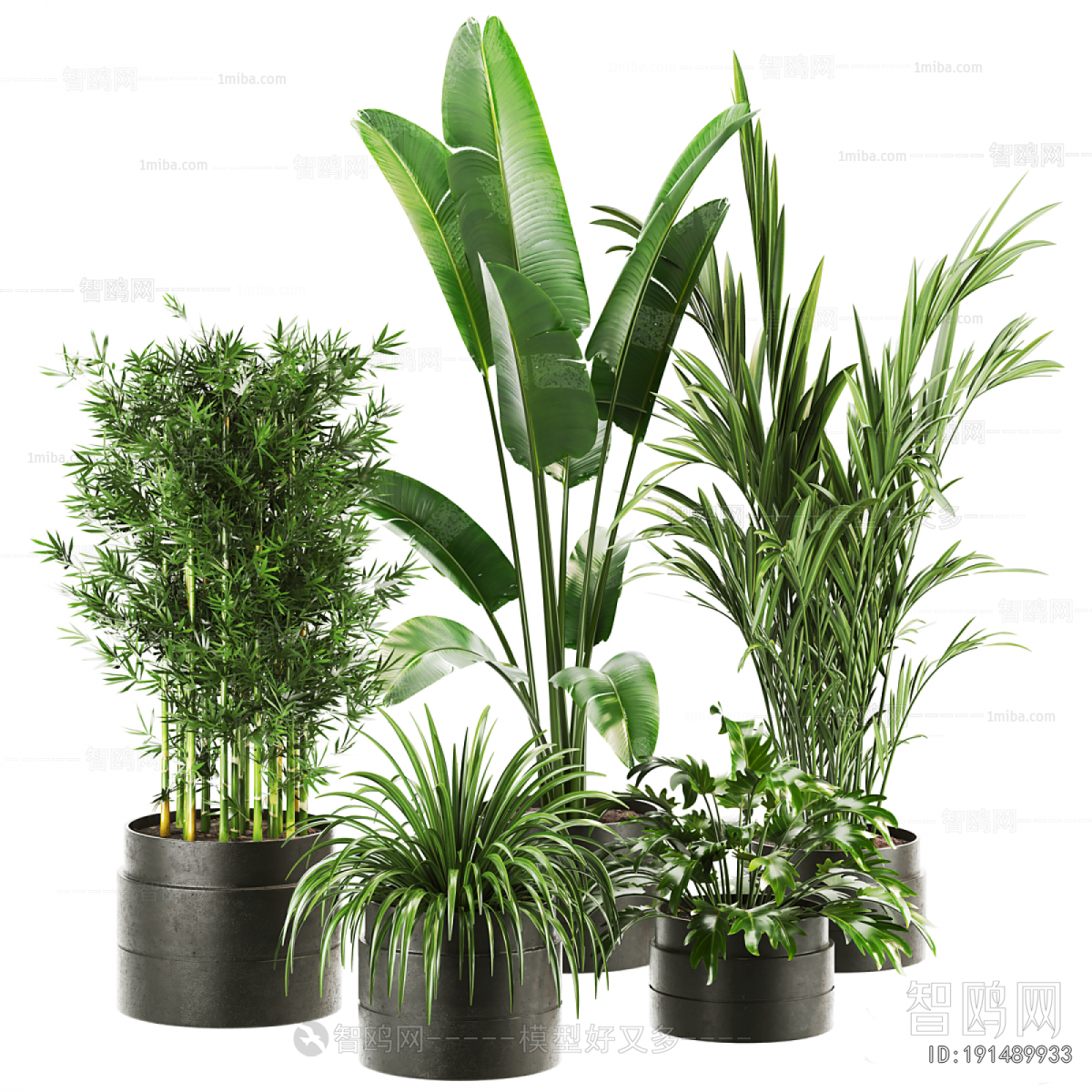 Modern Ground Green Plant Potted Plants