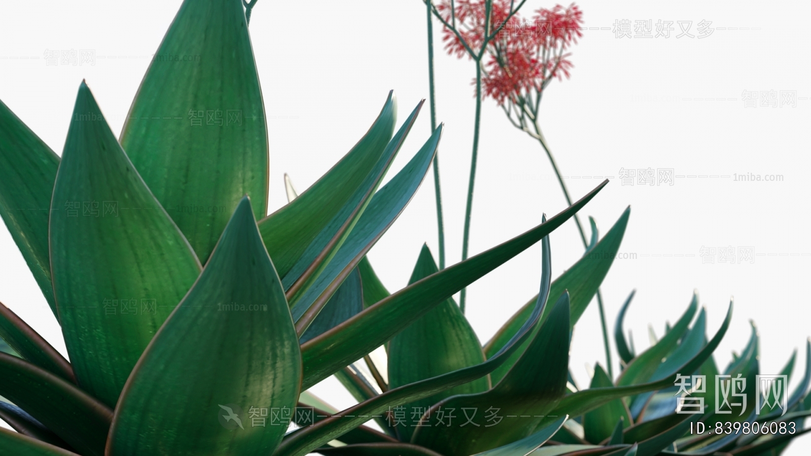 Modern Flowers And Grass