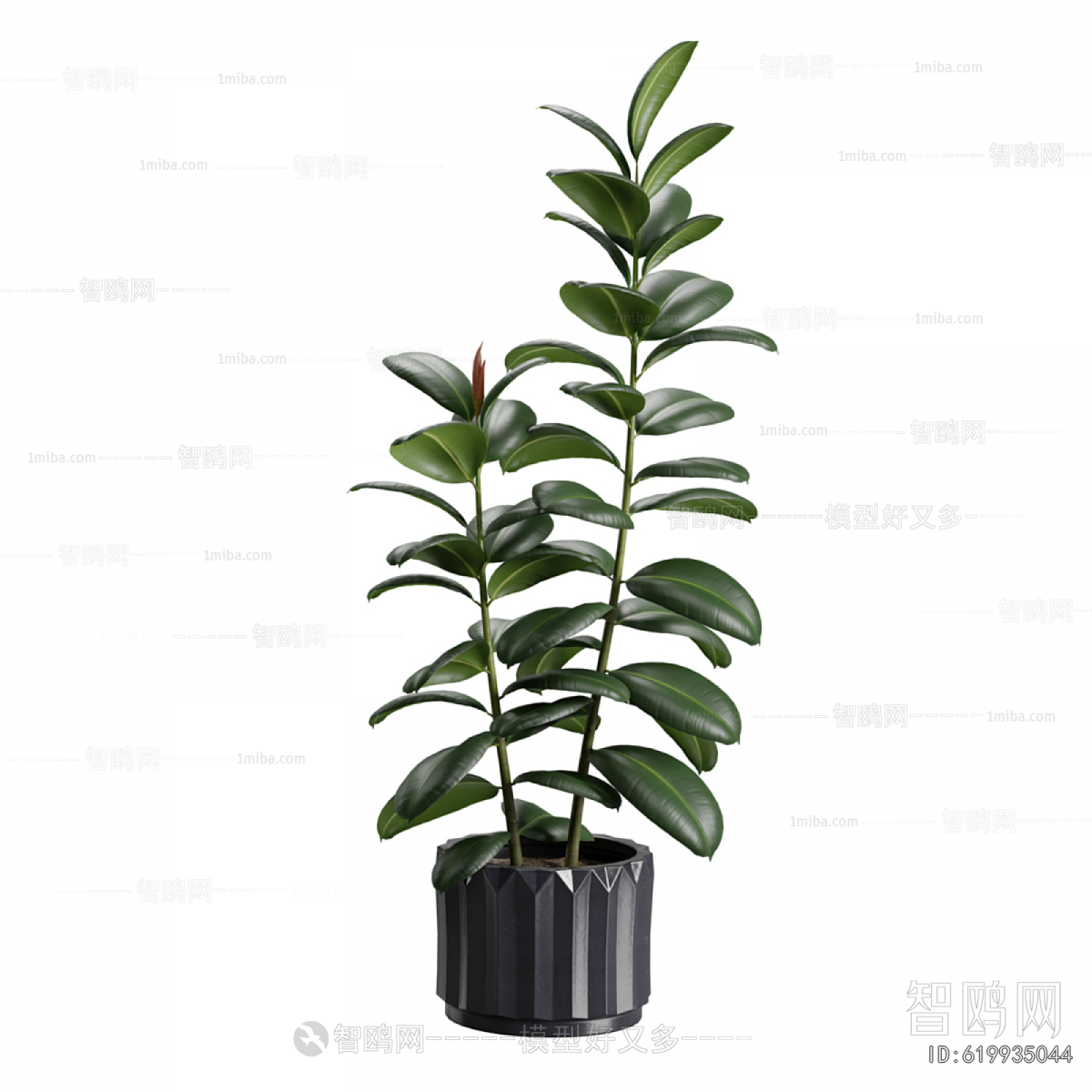 Modern Ground Green Plant Potted Plants