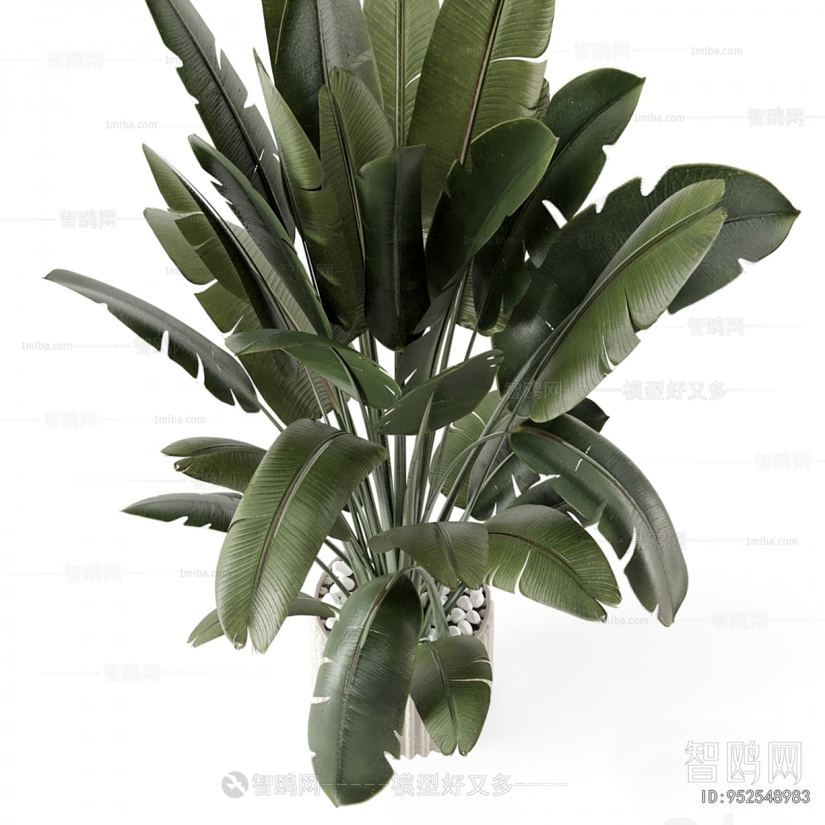 Modern Ground Green Plant Potted Plants