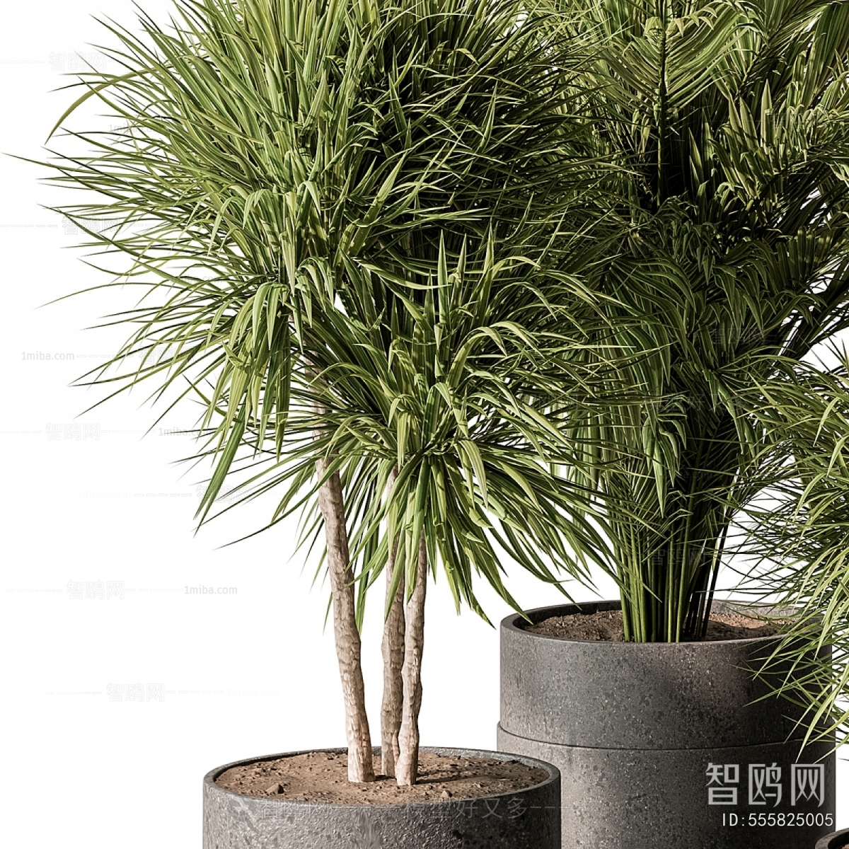 Modern Ground Green Plant Potted Plants