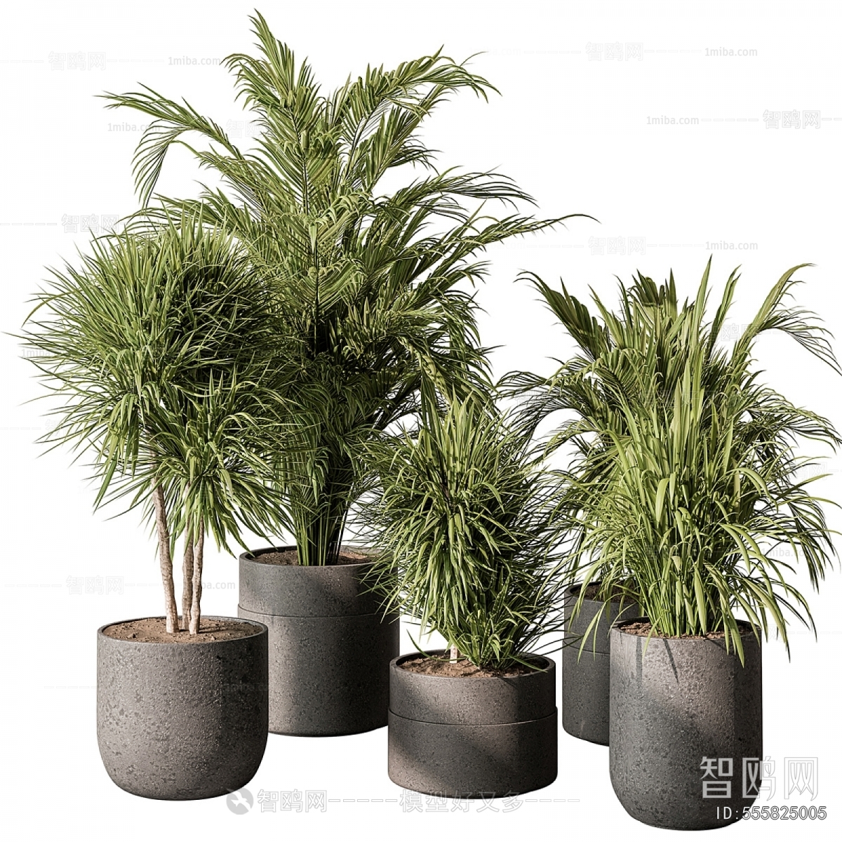 Modern Ground Green Plant Potted Plants