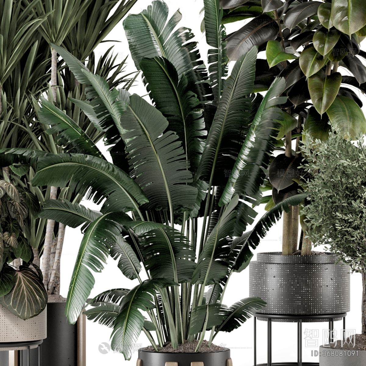 Modern Potted Green Plant