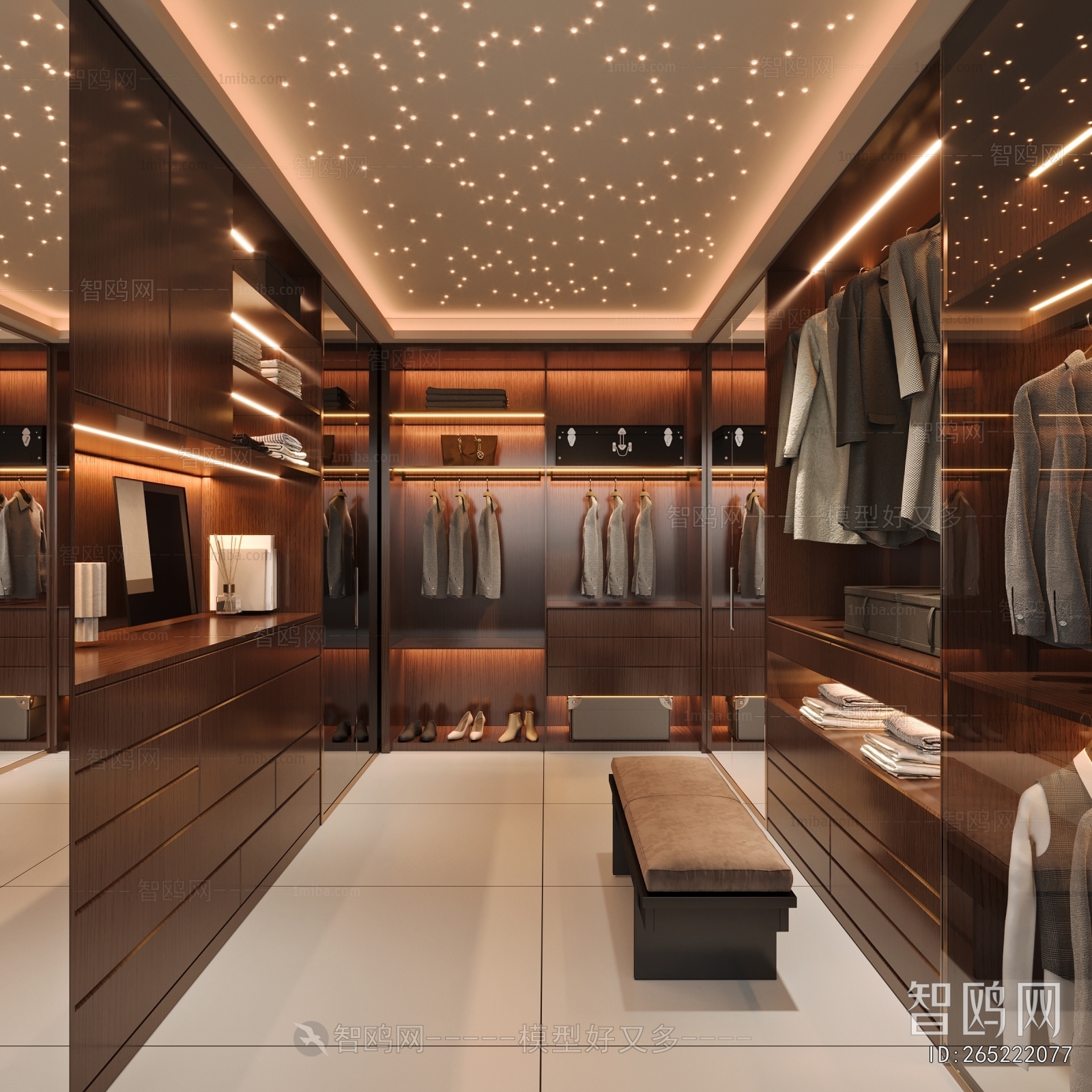 Modern Clothes Storage Area