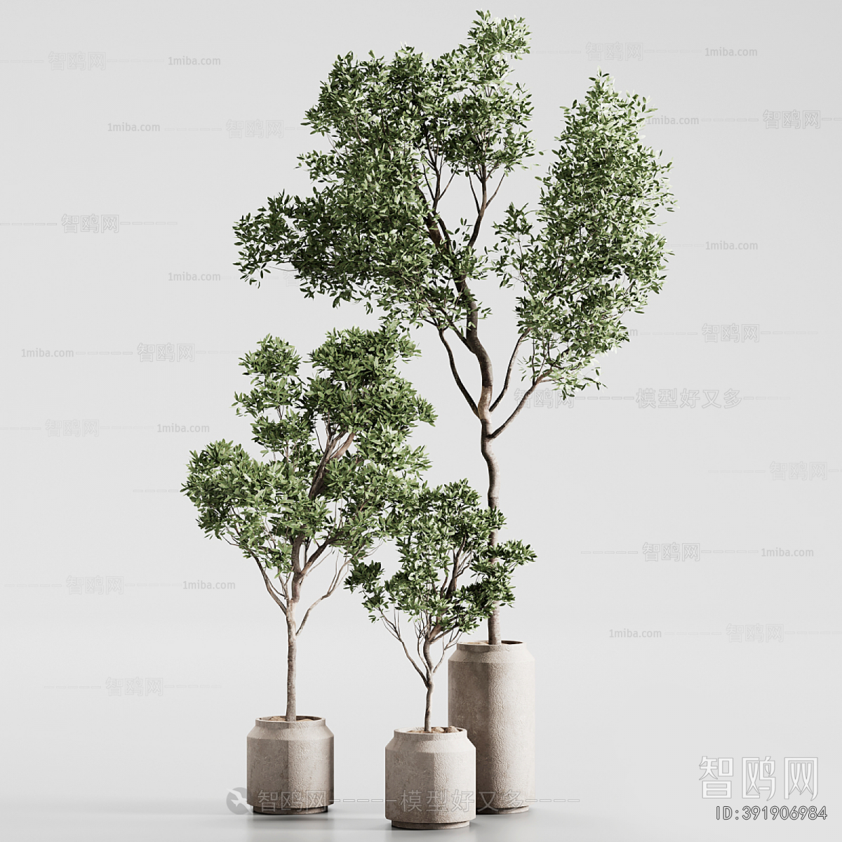 Modern Ground Green Plant Potted Plants