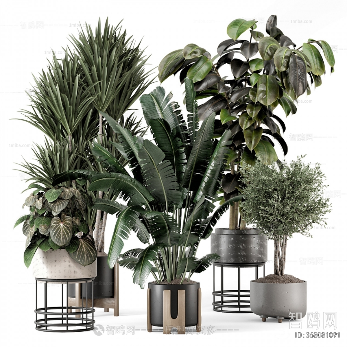 Modern Potted Green Plant