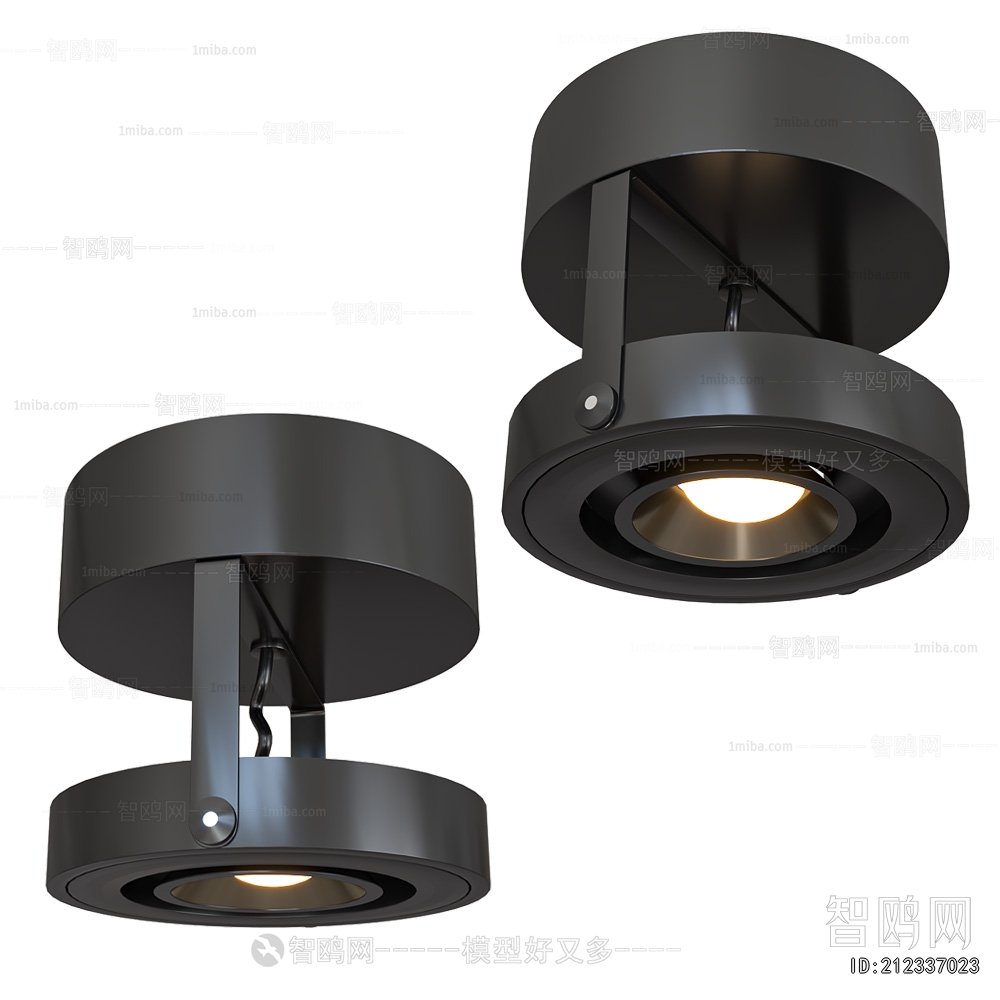 Modern Ceiling Ceiling Lamp