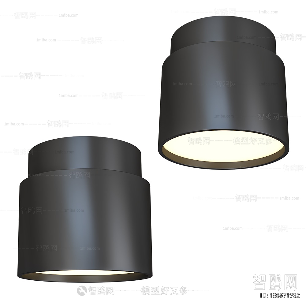 Modern Ceiling Ceiling Lamp