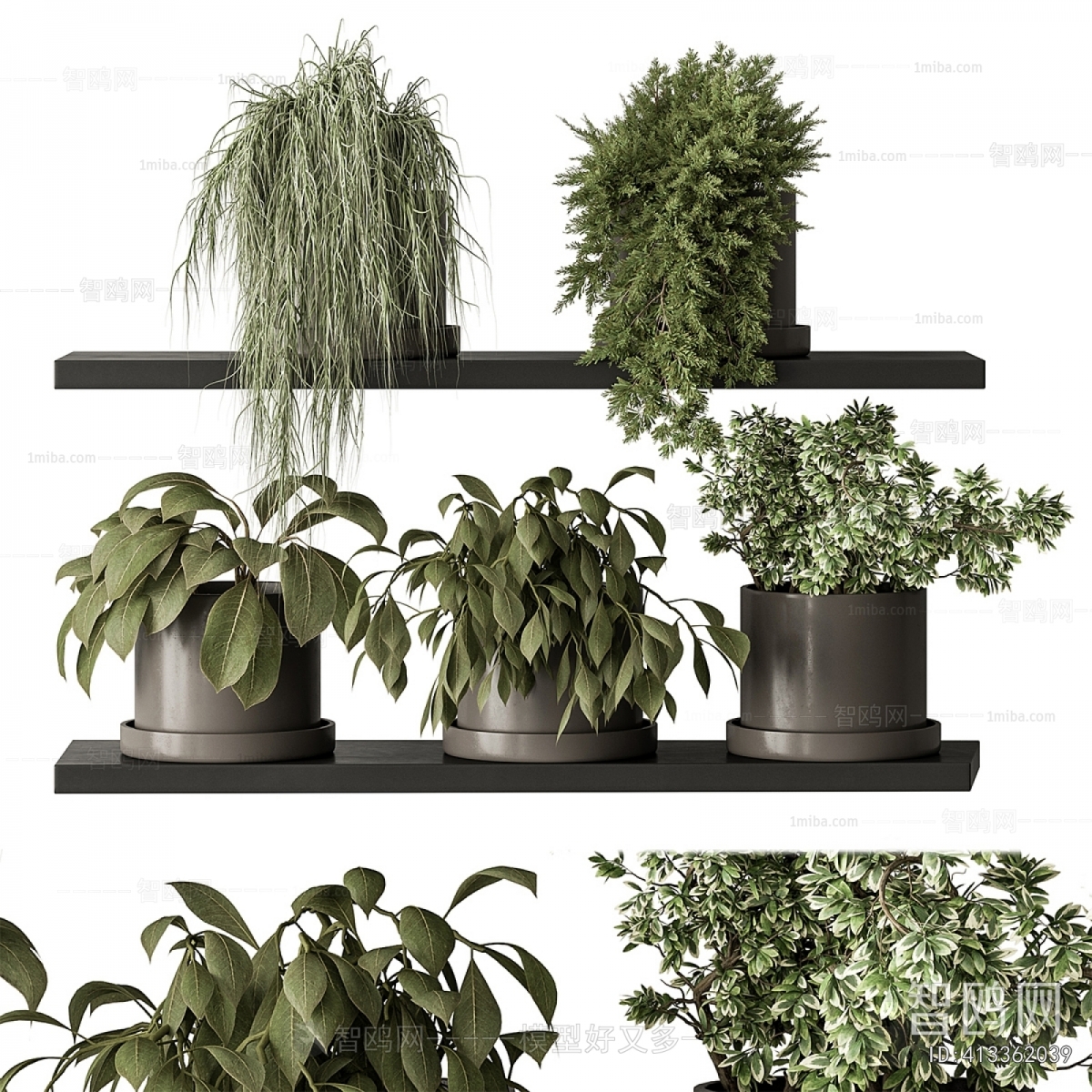 Modern Potted Green Plant