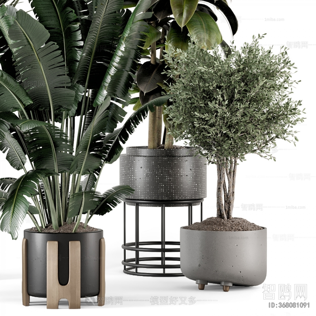 Modern Potted Green Plant