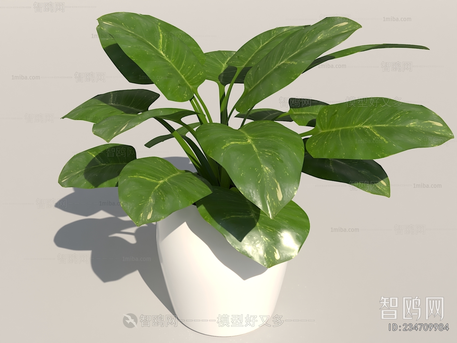 Modern Potted Green Plant