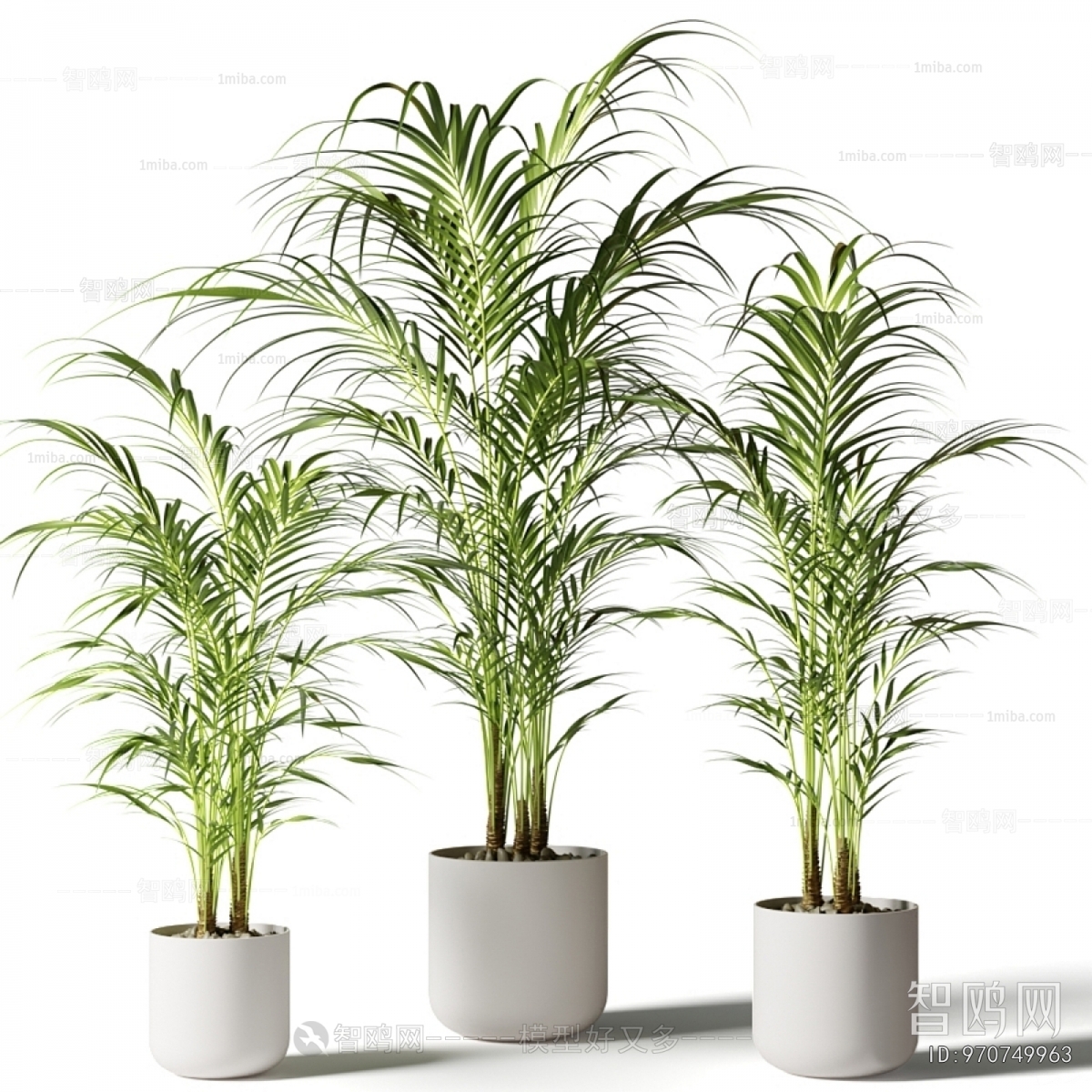 Modern Ground Green Plant Potted Plants