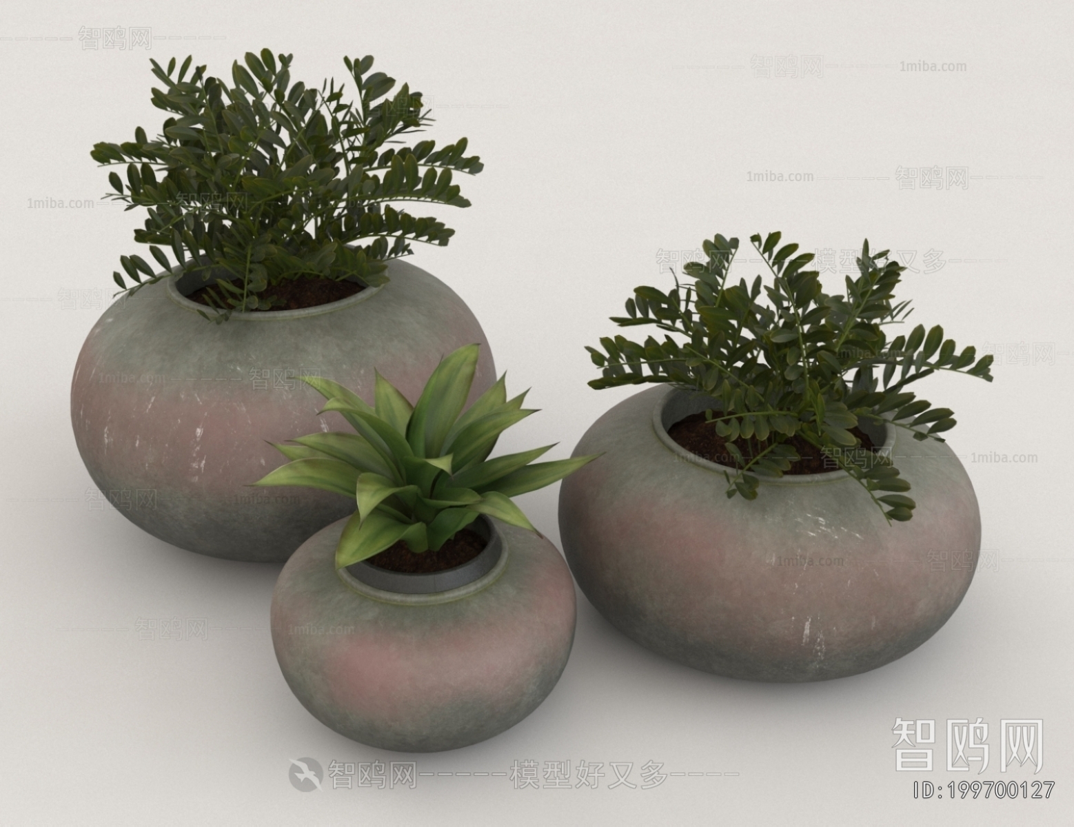 Modern Potted Green Plant