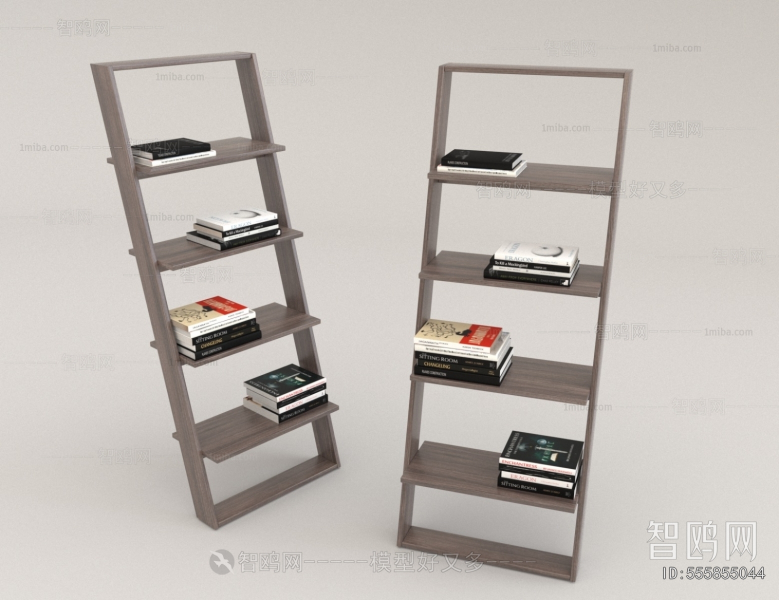 Modern Bookshelf