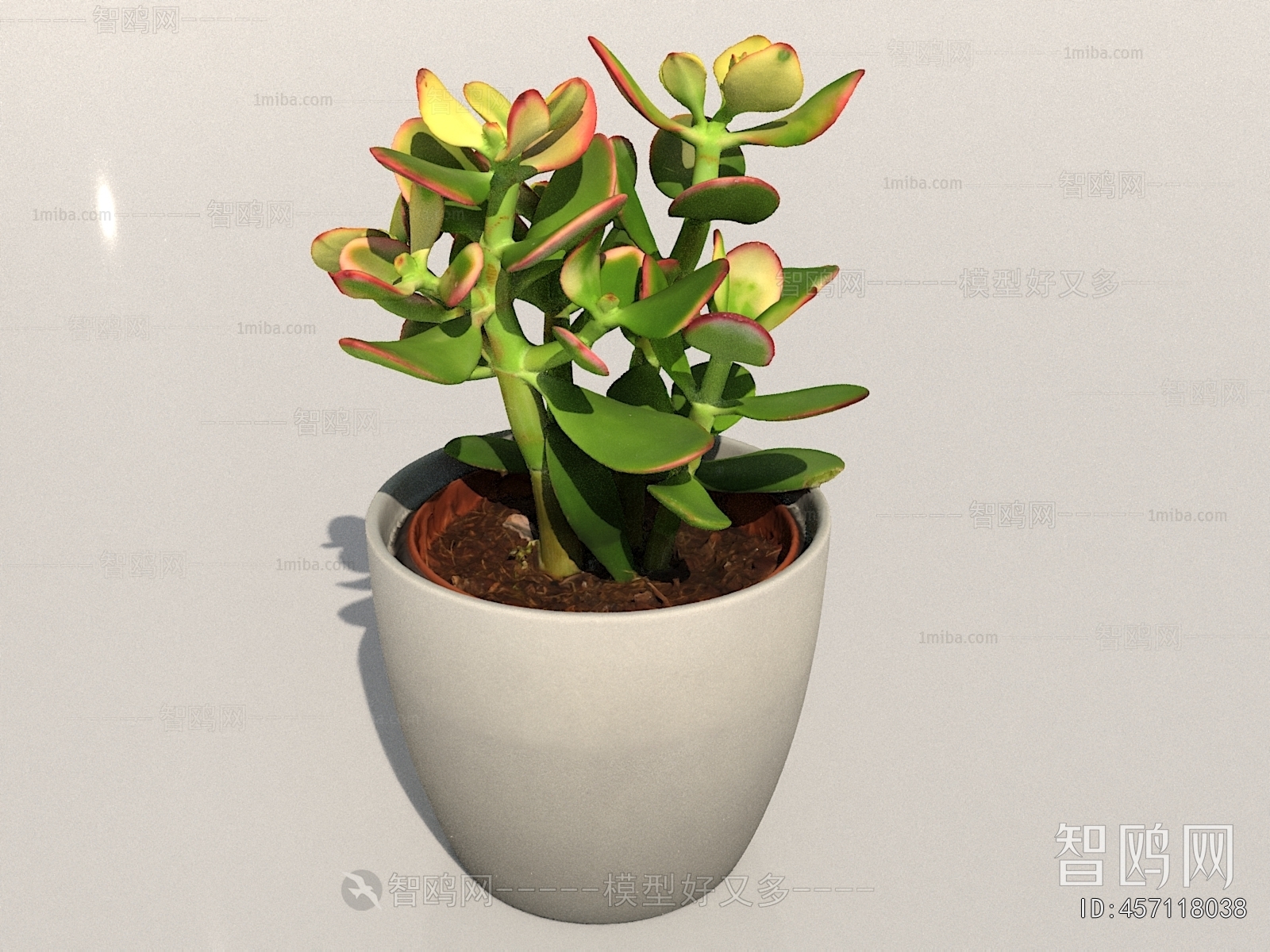 Modern Potted Green Plant