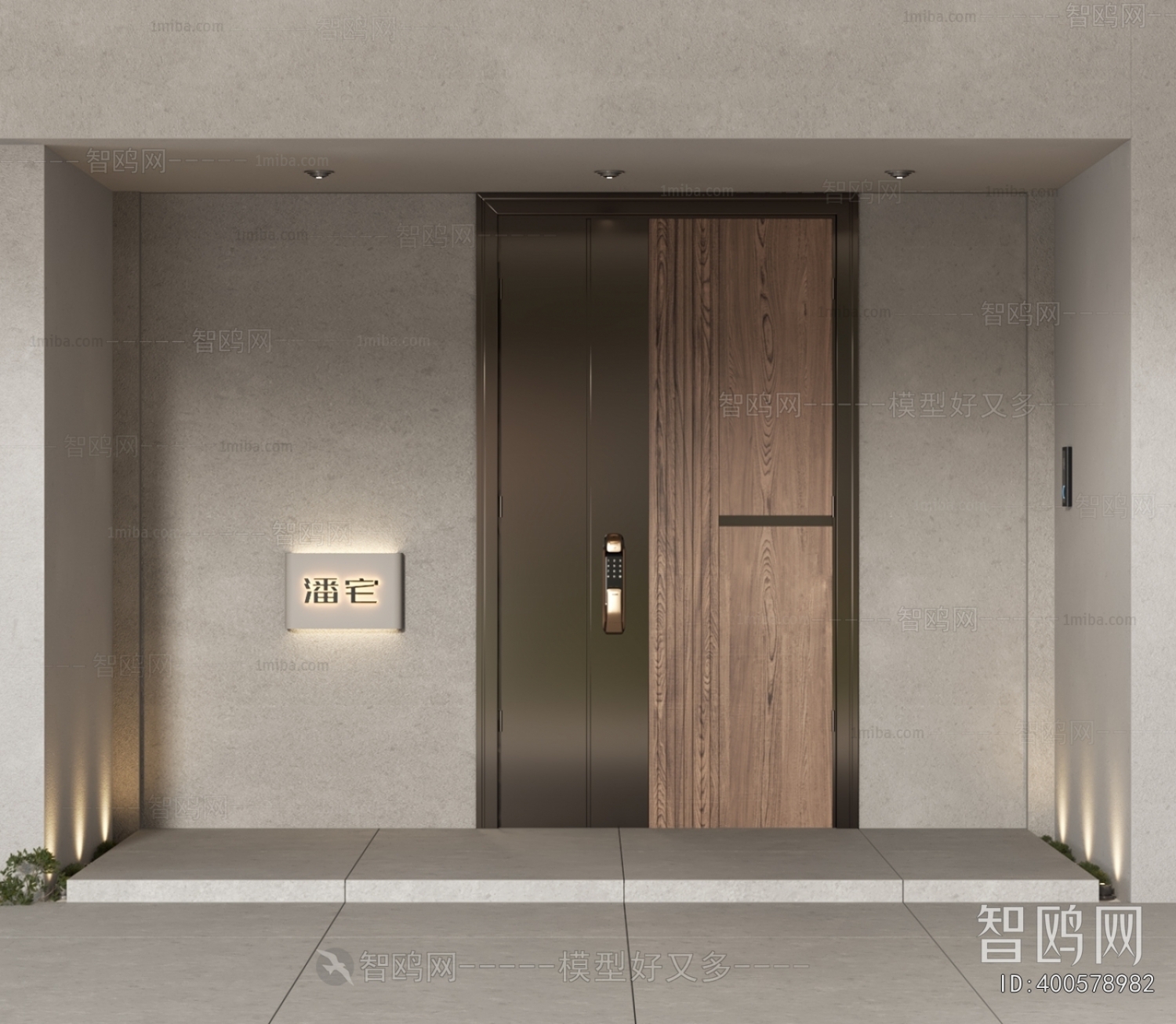 Modern Entrance Door