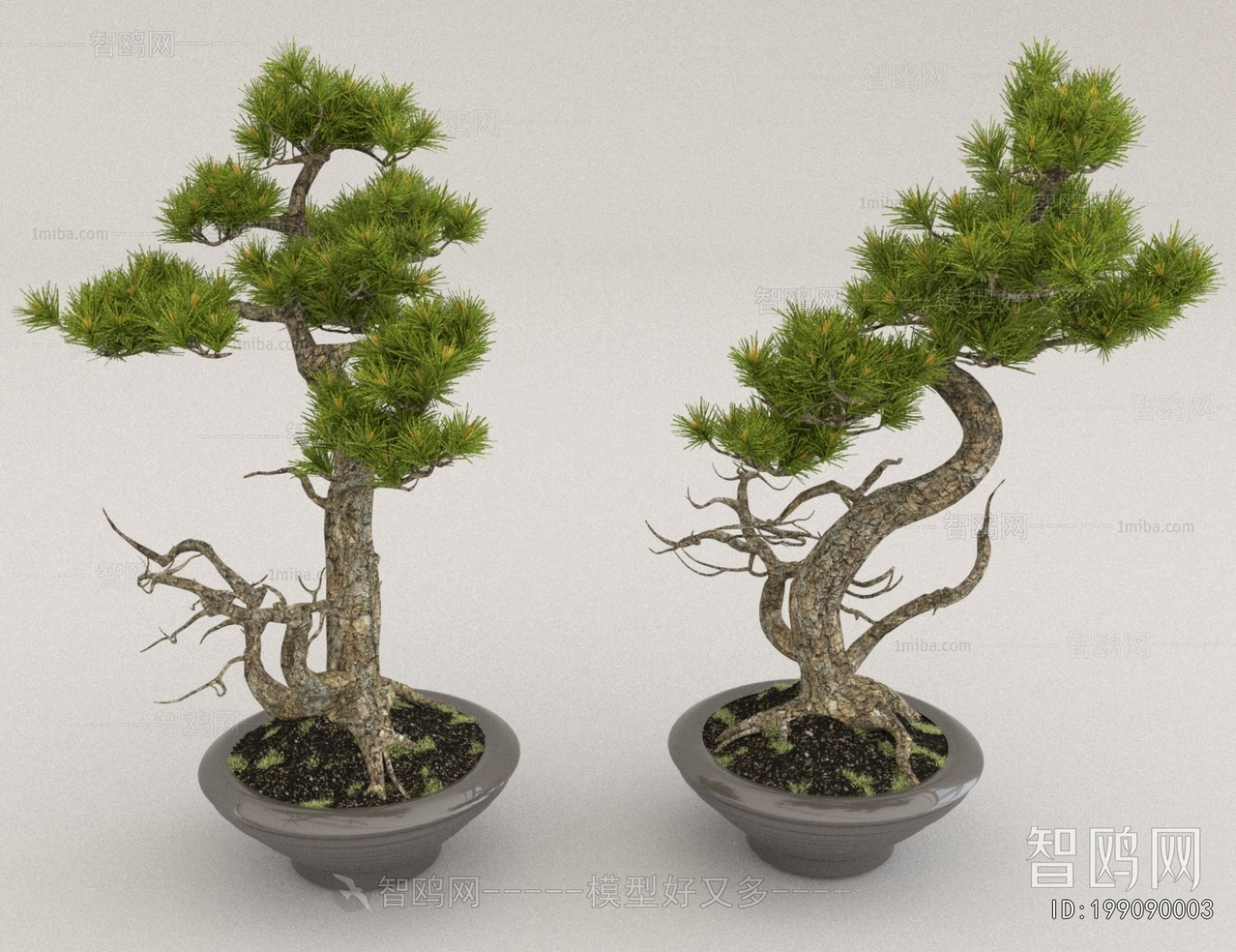 New Chinese Style Bonsai