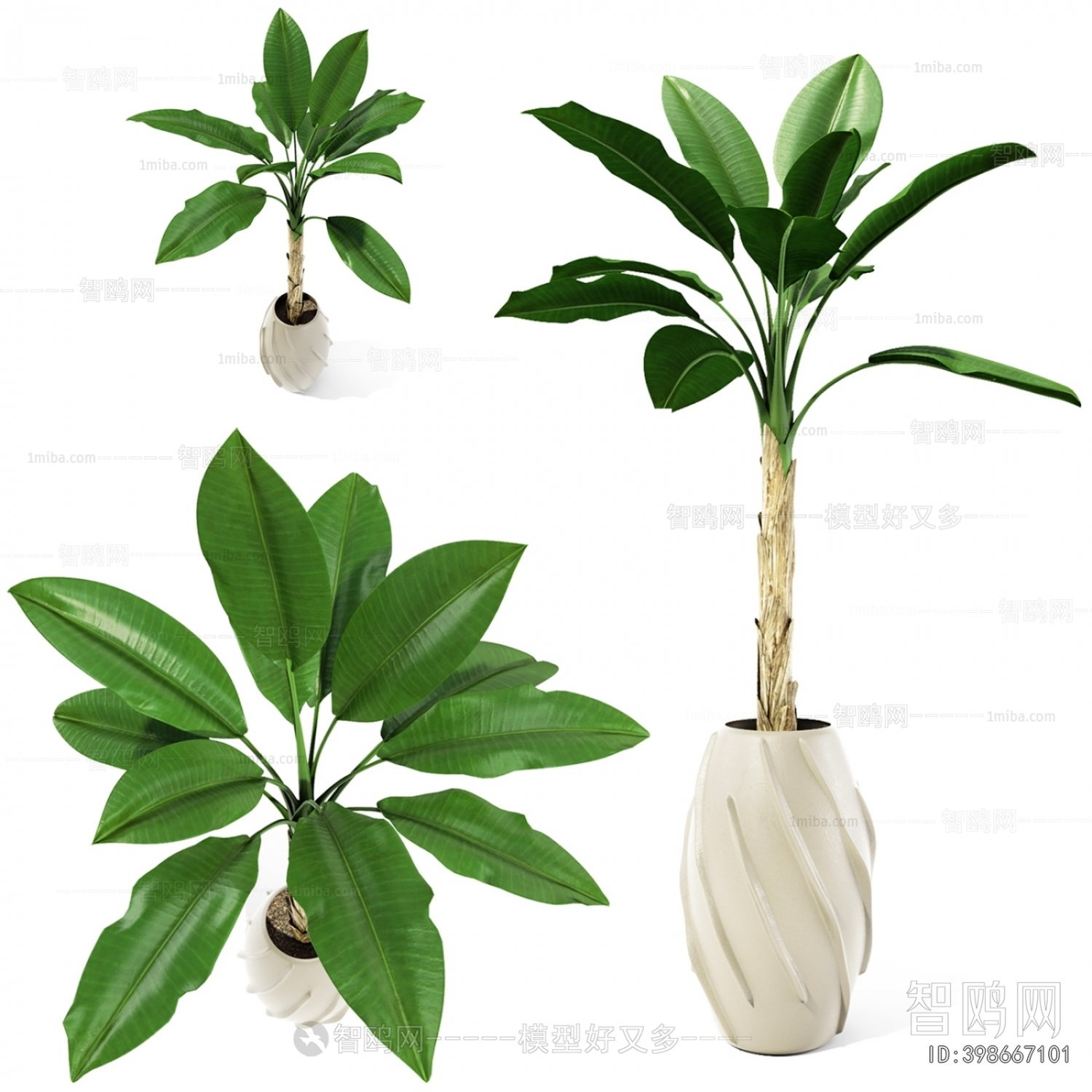 Modern Potted Green Plant