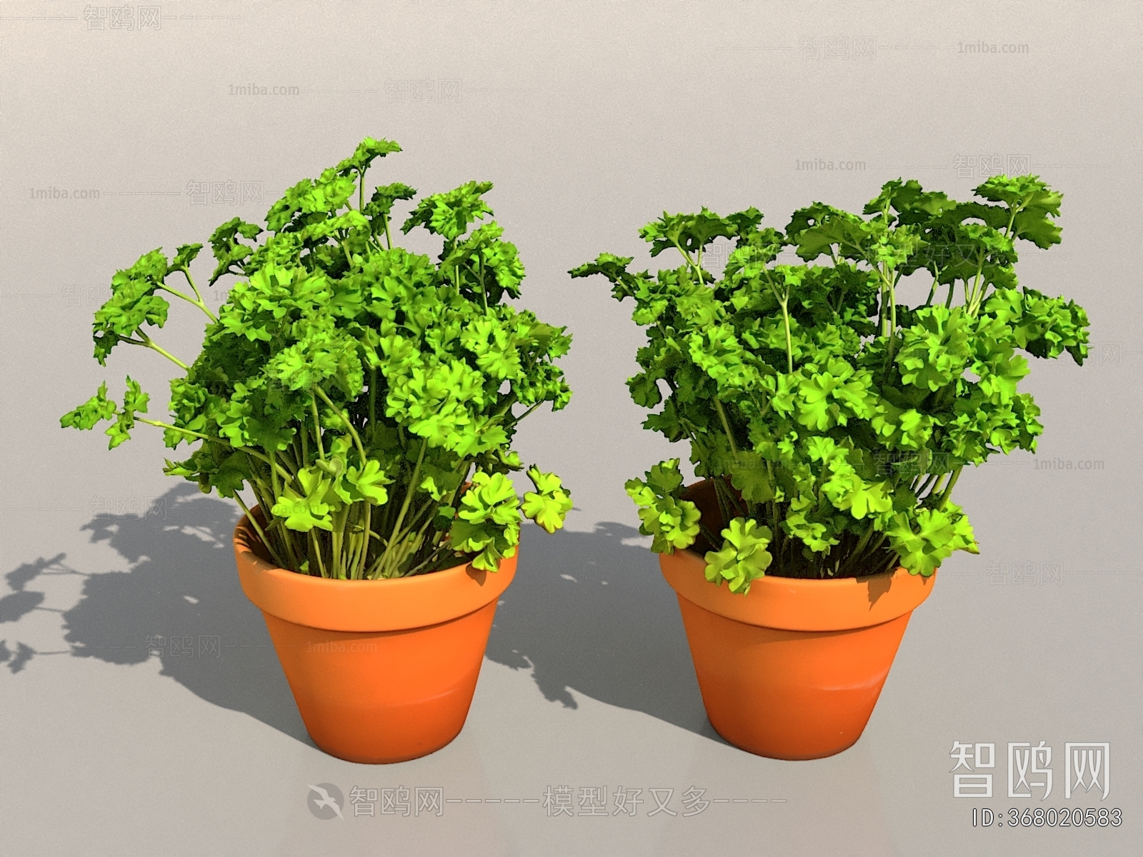 Modern Potted Green Plant